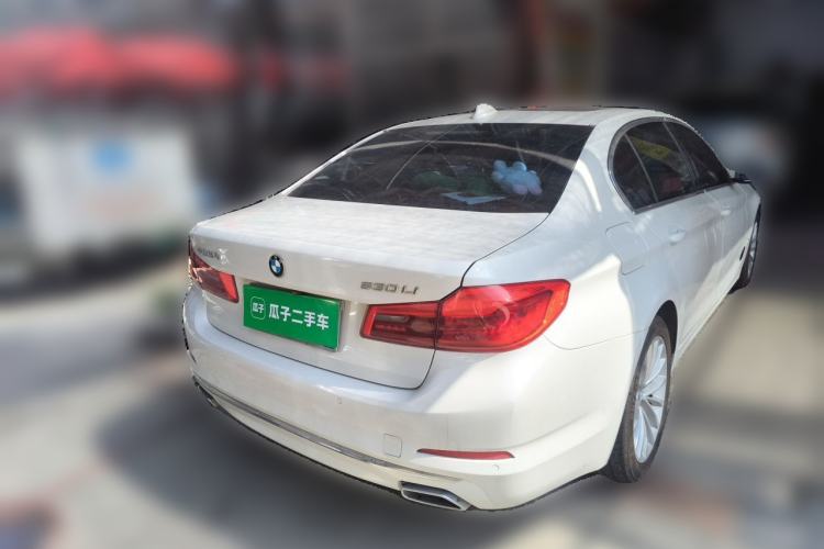 Used BMW 5 Series 2019 530Li Leading Model Luxury Package Rear Right 45 Deg