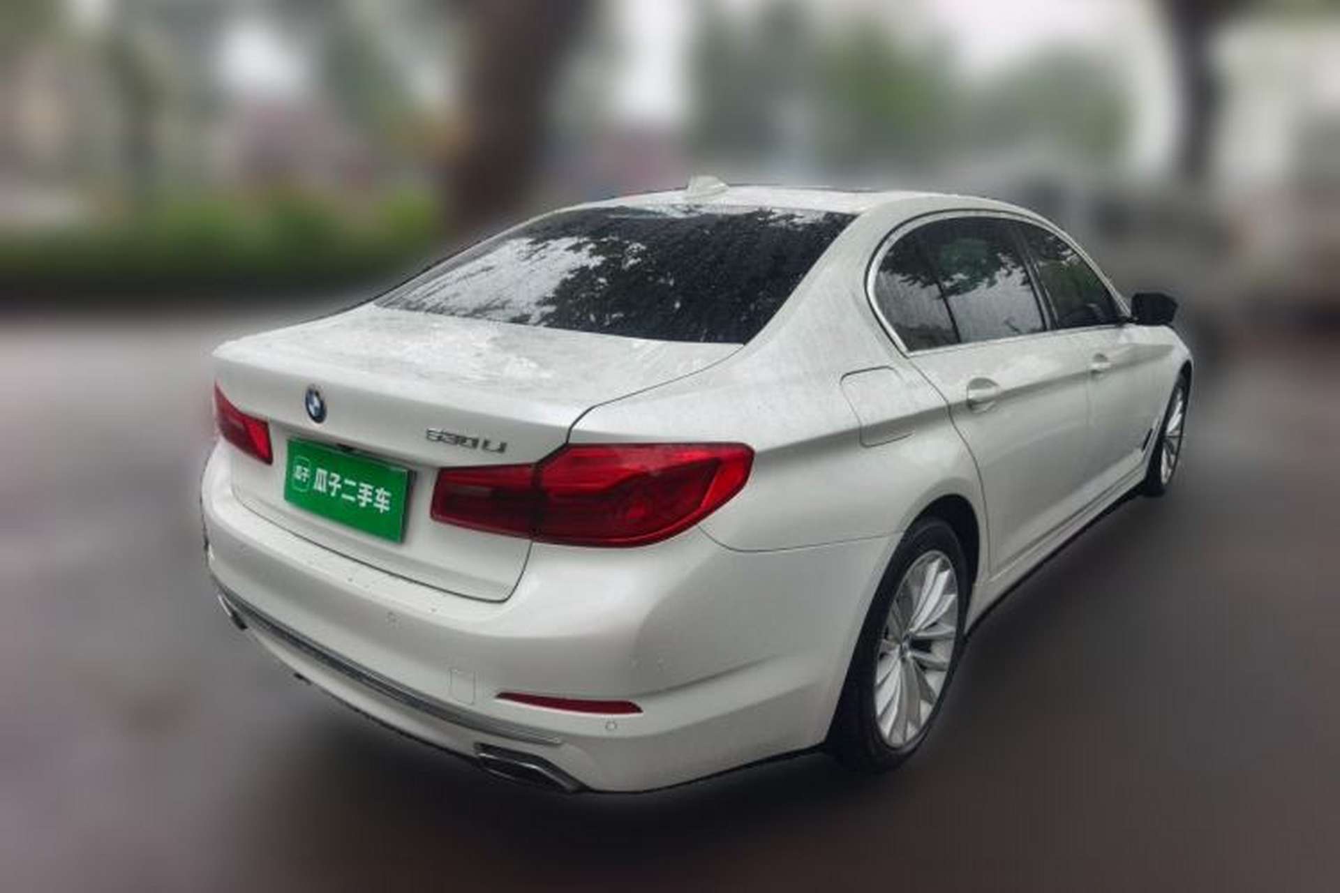 Used BMW 5 Series 2019 530Li Leading Model Luxury Package Rear Right 45 Deg