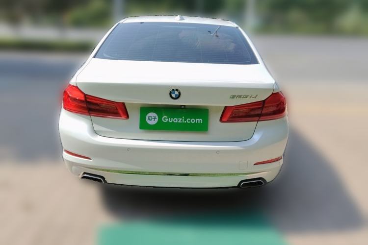 Used BMW 5 Series 2019 525Li Luxury Package Rear