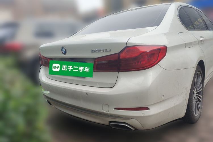 Used BMW 5 Series 2019 530Li Luxury Edition Premium Package Rear