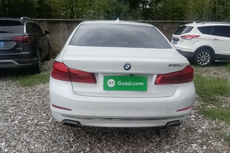 Used BMW 5 Series 2019 Facelifted 530Li Luxury Edition Premium Package Rear