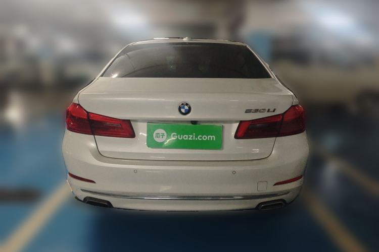 Used BMW 5 Series 2019 530Li Leading Model Luxury Package Rear