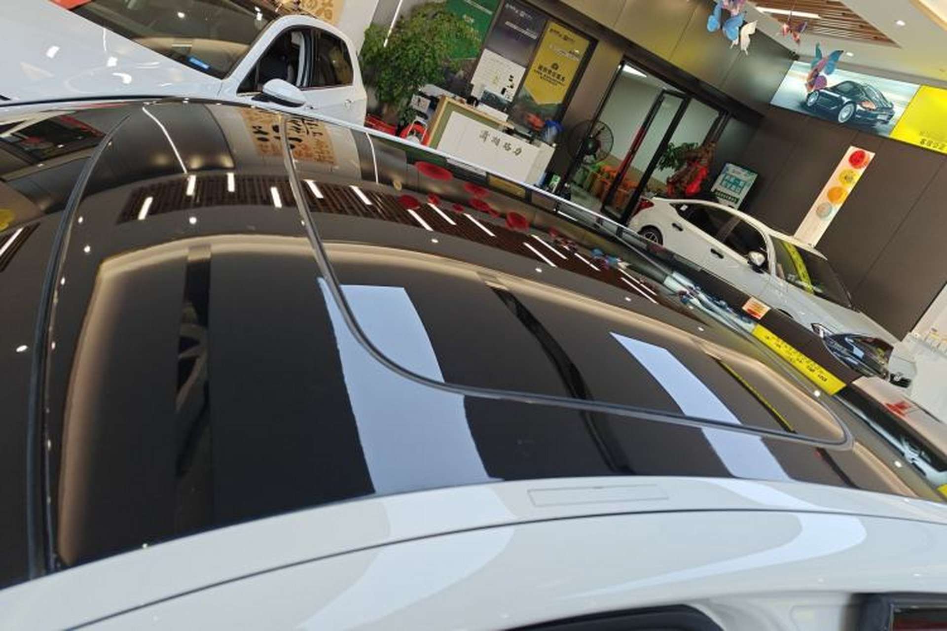 Used BMW 5 Series 2019 525i M Sport Package Roof