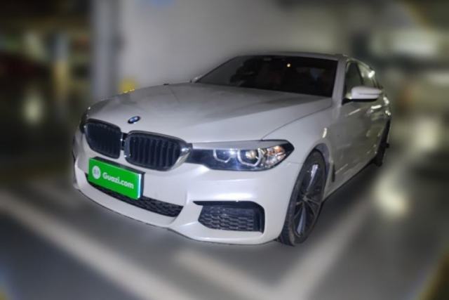 Used BMW 5 Series 2019 530Li Leading Model M Sport Package