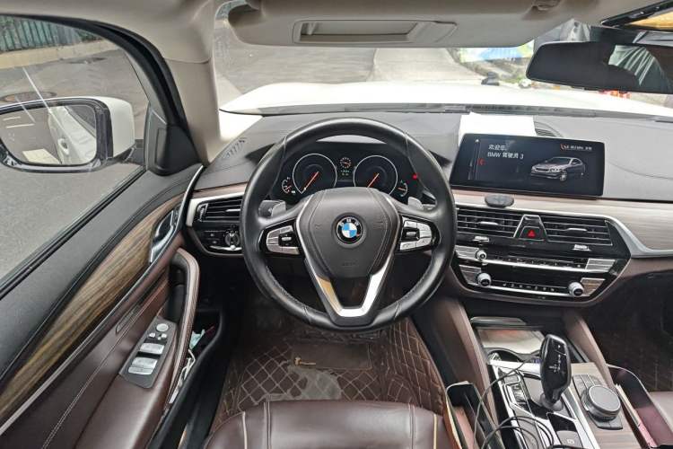 Used BMW 5 Series 2019 530Li Leading Model Luxury Package Steering Wheel