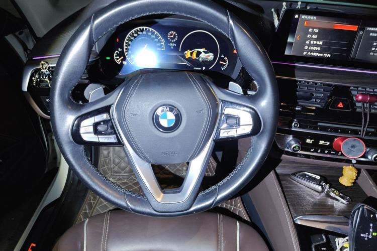Used BMW 5 Series 2019 530Li Leading Model Luxury Package Steering Wheel