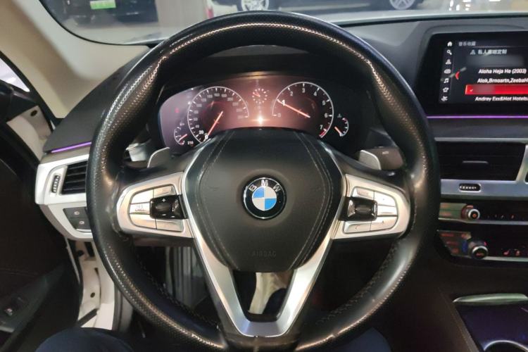 Used BMW 5 Series 2019 530Li Leading Model Luxury Package Steering Wheel