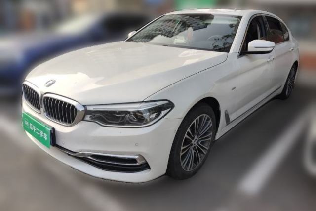 Used BMW 5 Series 2019 530Li Luxury Edition Premium Package