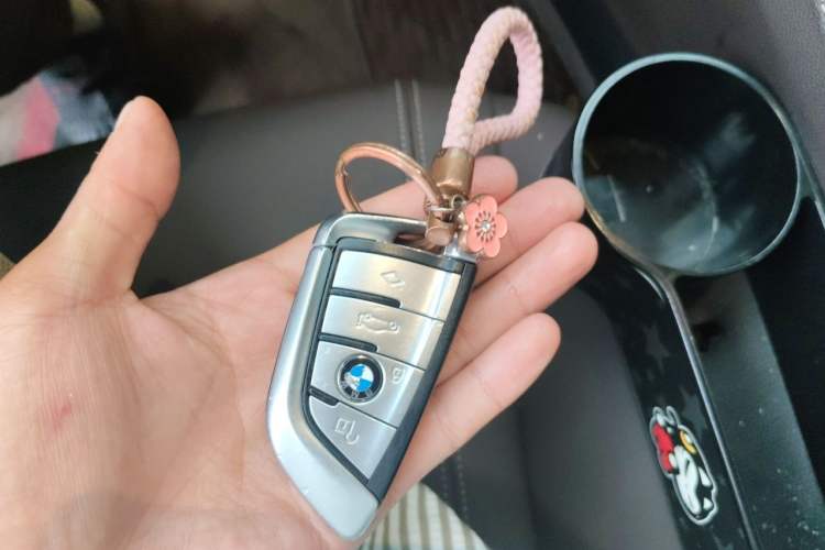 Used BMW 5 Series 2019 Restyled 525Li M Sport Package Vehicle Key