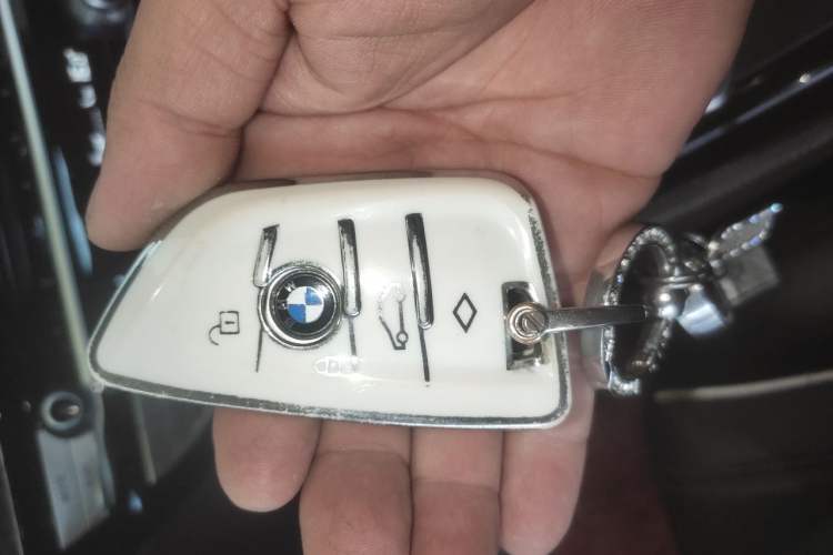 Used BMW 5 Series 2019 Facelifted 530Li Leading Edition Luxury Package Vehicle Key