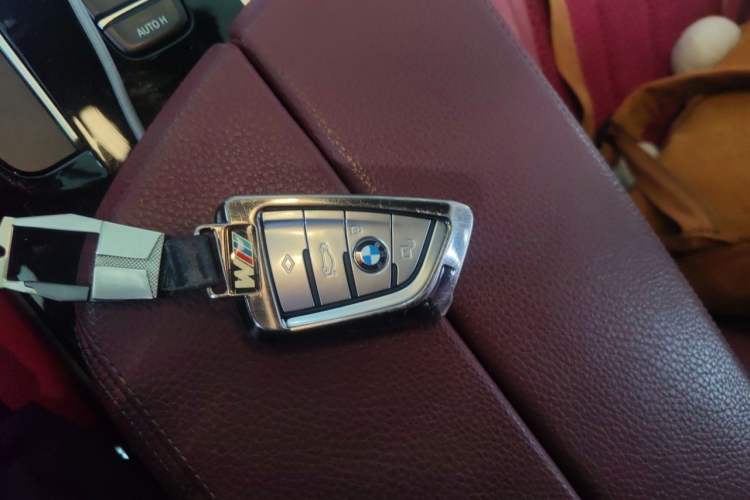 Used BMW 5 Series 2019 530Li Leading Model M Sport Package Vehicle Key