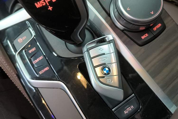 Used BMW 5 Series 2019 Updated 530Li xDrive Luxury Package Vehicle Key