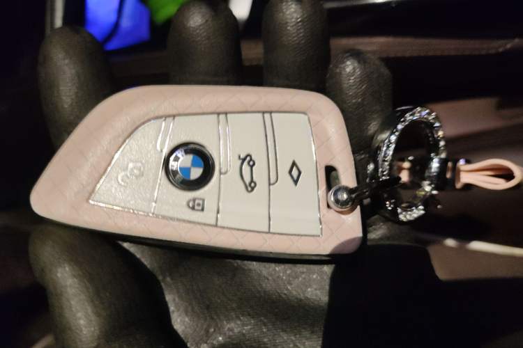 Used BMW 5 Series 2019 Facelifted 530Li Luxury Edition Premium Package Vehicle Key