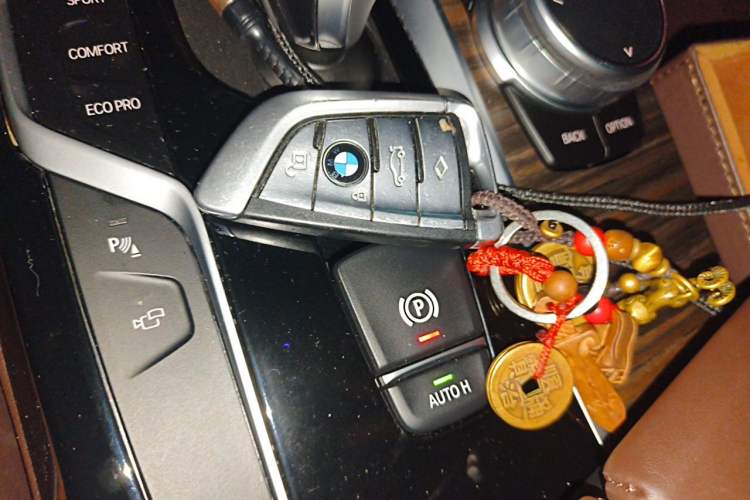Used BMW 5 Series 2019 Facelifted 530Li Luxury Edition Premium Package Vehicle Key