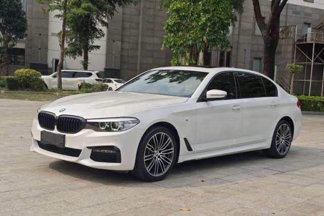 Used BMW 5 Series 2019 530Li Leading Model M Sport Package
