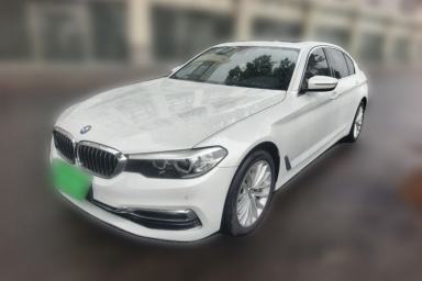 Used BMW 5 Series 2019 530Li Leading Model Luxury Package
