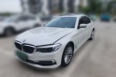 Used BMW 5 Series 2019 525Li Luxury Package
