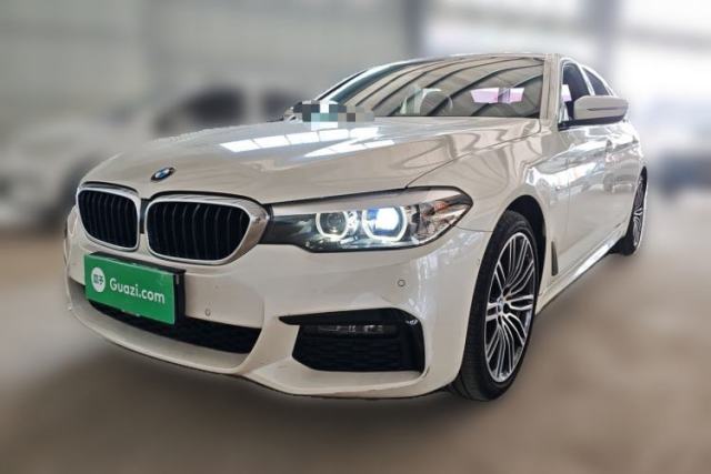 Used BMW 5 Series 2019 530Li Leading Model M Sport Package