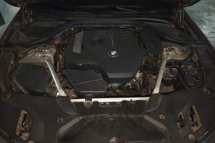 Used BMW 5 Series 2019 525Li Luxury Package Engine Bay