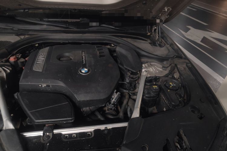 Used BMW 5 Series 2019 530Li Leading Model Luxury Package Engine Bay Left