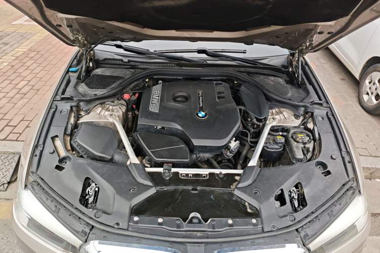 Used BMW 5 Series 2019 Facelifted 530Li Leading Edition Luxury Package Engine Bay