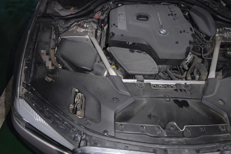 Used BMW 5 Series 2019 530Li Leading Model Luxury Package Engine Bay Right