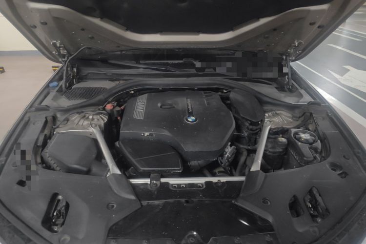 Used BMW 5 Series 2019 530Li Leading Model Luxury Package Engine Bay