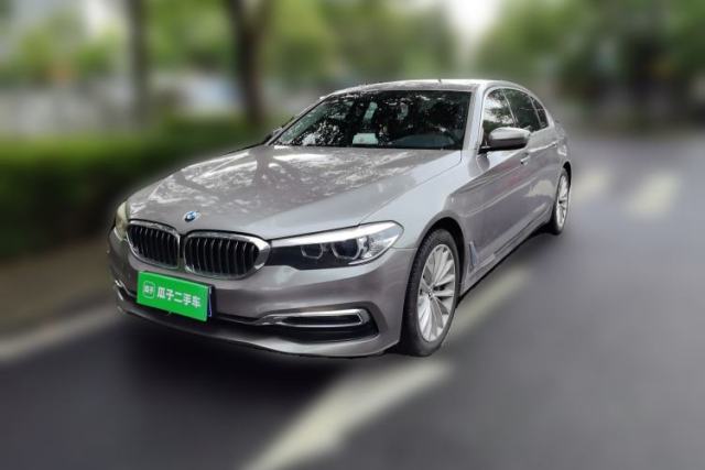 Used BMW 5 Series 2019 530Li Leading Model Luxury Package