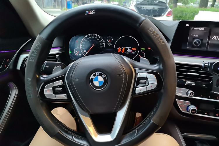 Used BMW 5 Series 2019 530Li Leading Model Luxury Package Steering Wheel
