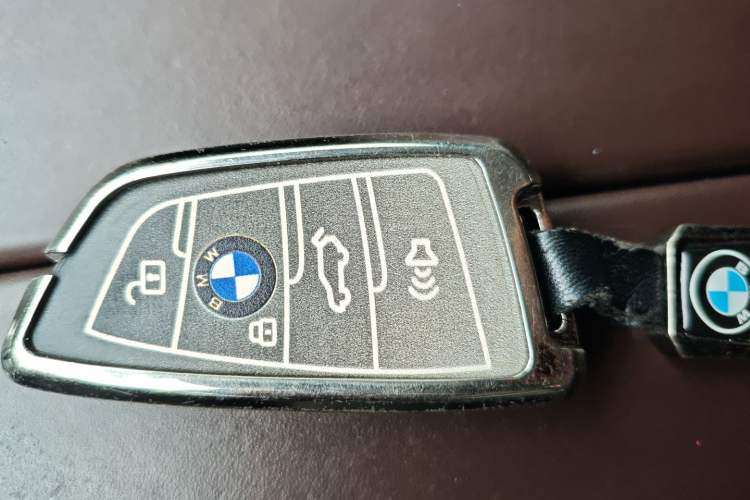 Used BMW 5 Series 2019 Facelifted 530Li Leading Edition Luxury Package Vehicle Key
