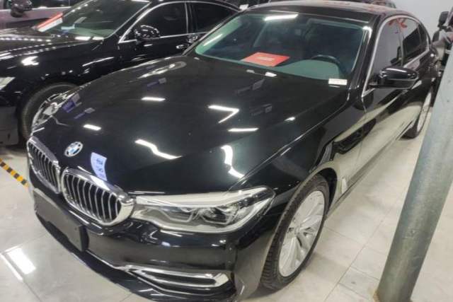Used BMW 5 Series 2020 530Li Leading Edition Luxury Package