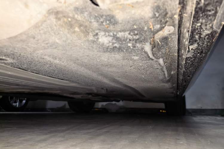Used BMW 5 Series 2020 530Li Luxury Edition M Sport Package Chassis Front Left