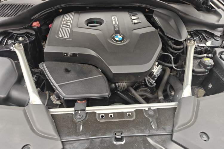 Used BMW 5 Series 2020 530Li Leading Model M Sport Package Engine Bay