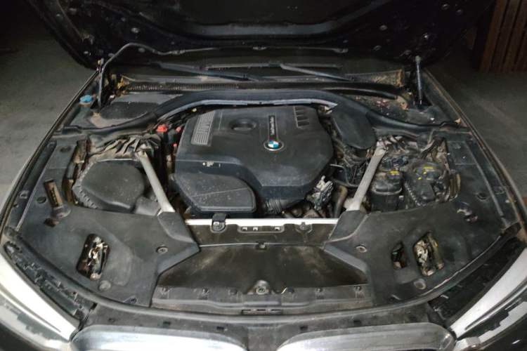 Used BMW 5 Series 2020 530Li xDrive M Sport Package Engine Bay