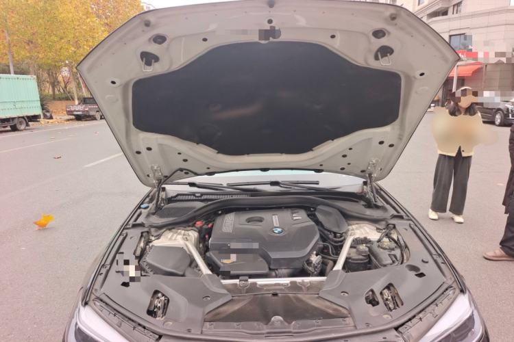 Used BMW 5 Series 2020 530Li Luxury Edition M Sport Package Engine Bay