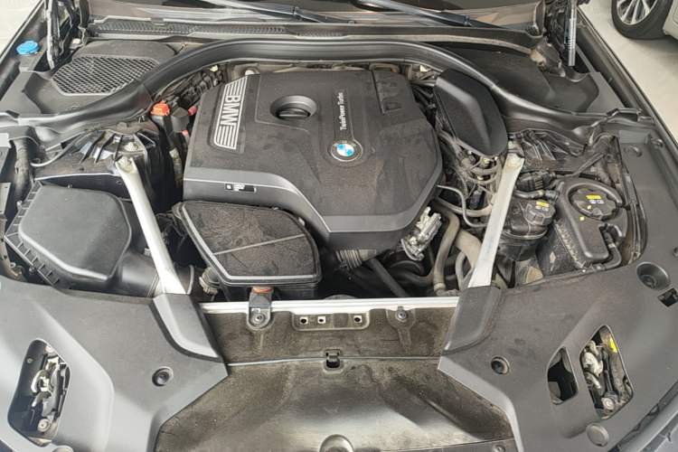Used BMW 5 Series 2020 530Li Luxury Edition M Sport Package Engine Bay