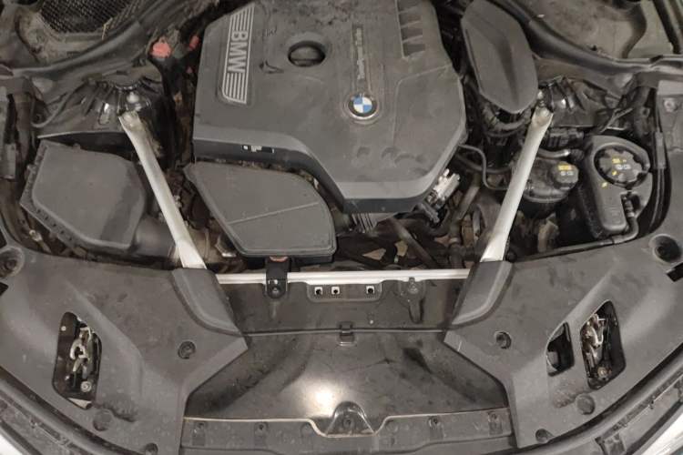 Used BMW 5 Series 2020 530Li Luxury Edition M Sport Package Engine Bay