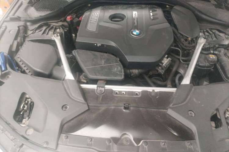 Used BMW 5 Series 2020 530Li Luxury Edition Premium Package Engine Bay