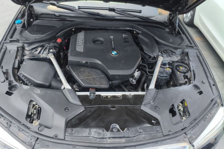 Used BMW 5 Series 2020 530Li Leading Edition Luxury Package Engine Bay