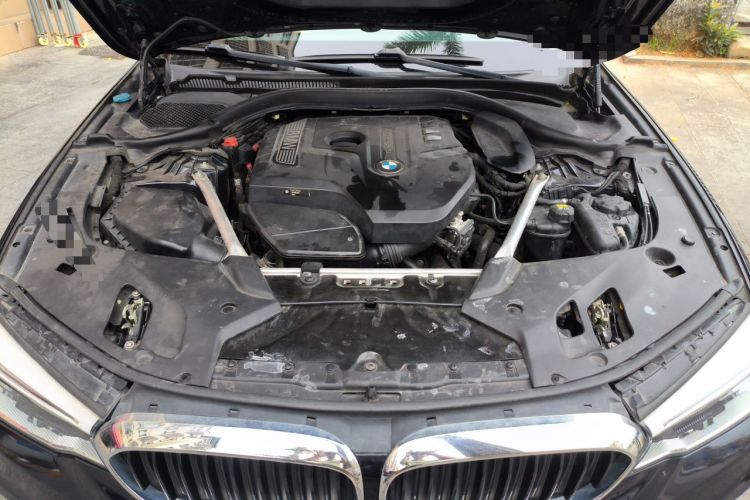 Used BMW 5 Series 2020 530Li Leading Model M Sport Package Engine Bay