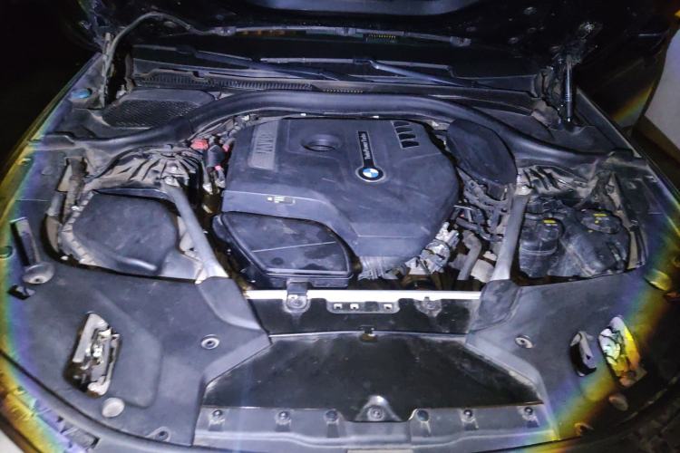 Used BMW 5 Series 2020 530Li Luxury Edition M Sport Package Engine Bay