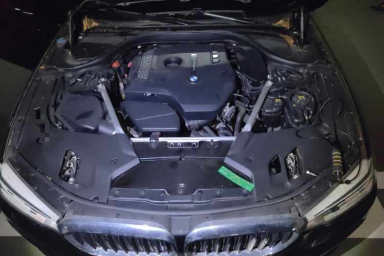 Used BMW 5 Series 2020 530Li Leading Edition Luxury Package Engine Bay