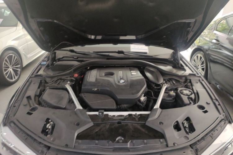 Used BMW 5 Series 2020 530Li Luxury Edition M Sport Package Engine Bay