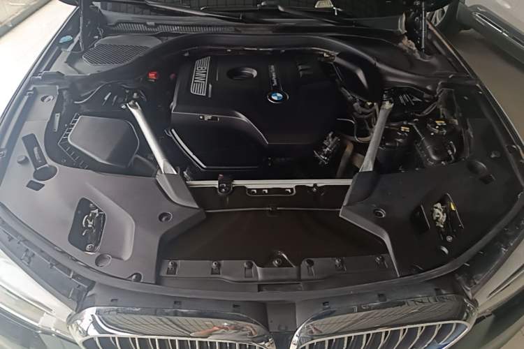 Used BMW 5 Series 2020 530Li Luxury Edition Premium Package Engine Bay