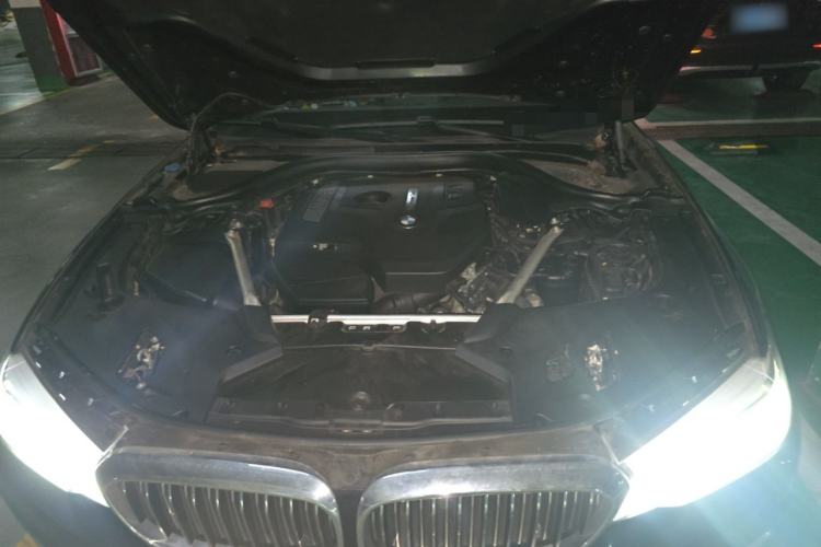 Used BMW 5 Series 2020 530Li Leading Edition Luxury Package Engine Bay