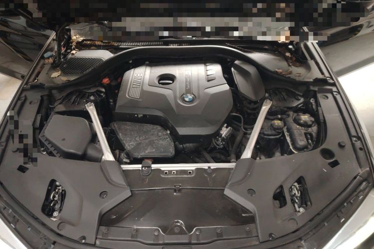 Used BMW 5 Series 2020 530Li Leading Edition Luxury Package Engine Bay