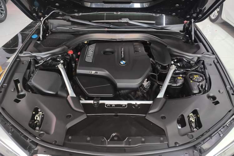 Used BMW 5 Series 2020 530Li Luxury Edition M Sport Package Engine Bay