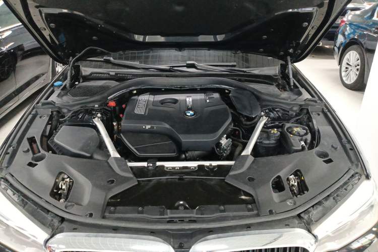 Used BMW 5 Series 2020 530Li Leading Model M Sport Package Engine Bay