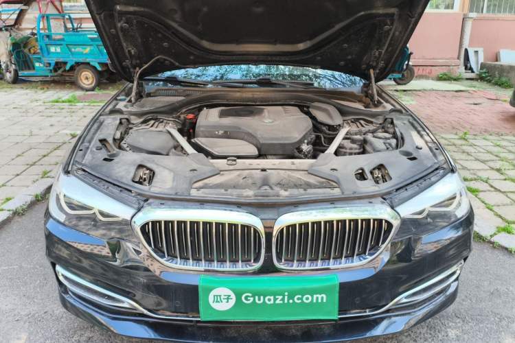 Used BMW 5 Series 2020 525Li Luxury Package Engine Bay