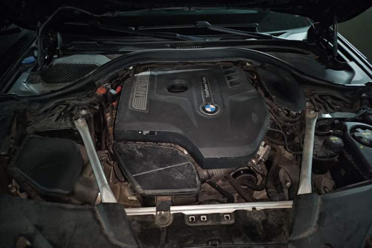 Used BMW 5 Series 2020 530Li Leading Model M Sport Package Engine Bay